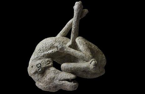 Plaster cast of a dog. From the House of Orpheus, Pompeii, AD79. Copyright Soprintendenza Speciale per i Beni Archeologici di Napoli e Pompei / Trustees of the British Museum