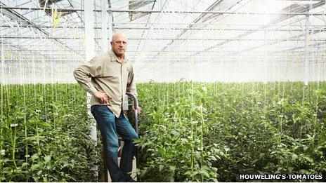 Houweling's Tomatoes greenhouses