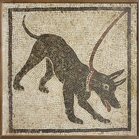 Mosaic of a guard dog. From the House of Orpheus, Pompeii, 1st century AD. Copyright Soprintendenza Speciale per i Beni Archeologici di Napoli e Pompei / Trustees of the British Museum