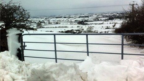 Snowy fields beyond a gate