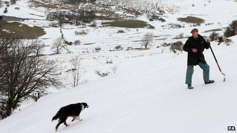 Gareth Wyn Jones with his sheepdog, who has helped save 70 ewes