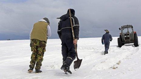 Workers in the snow