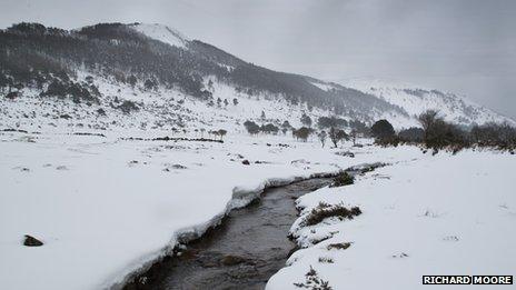 Richard Moore Aughnacloyin the Mourne Mountains. w