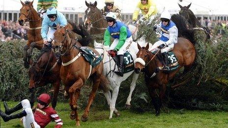 Aintree fences