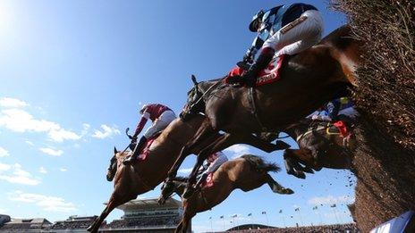 Horses at Aintree