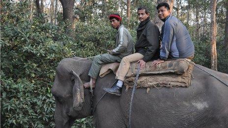 The BBC's Anbarasan Ethirajan on an an anti-poaching elephant patrol in the Chitwan national park