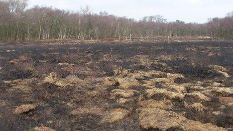 Fire damage at Heysham Moss