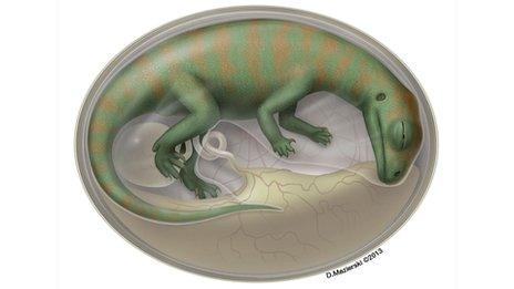 Artist's impression of Lufengosaurus embryo