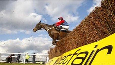 Horse jumping over a racecourse hurdle