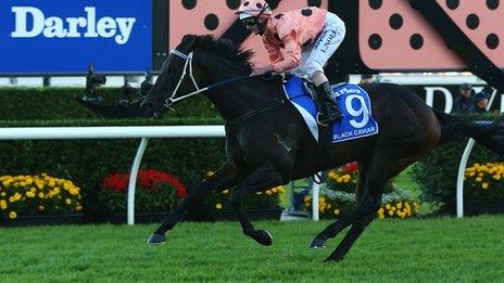 Black Caviar in her final race