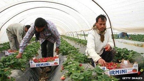 Migrant workers at strawberry farm in Nea Manolada