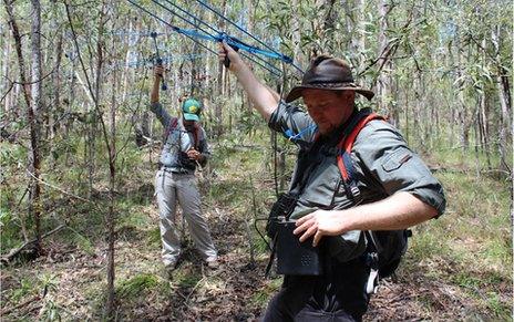 Wildlife biologists Jon Hanger (right) and Victoria Anderson use antennae to find koalas in a conservation reserve near Brisban
