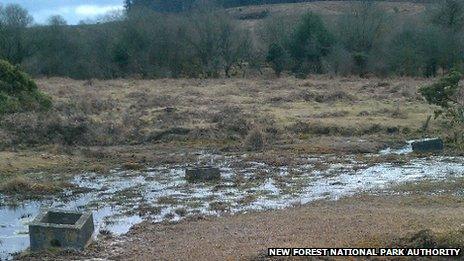 Concrete target blocks in the New Forest