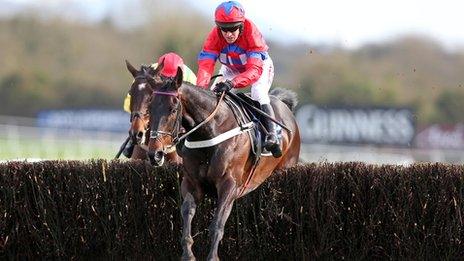 Sprinter Sacre jumps the last at Punchestown on his way to victory