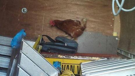 Agatha looks inside a rucksack in a shed.