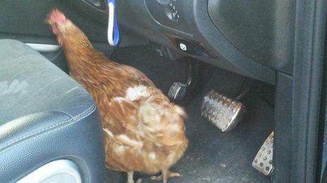 Agatha climbing into a car.
