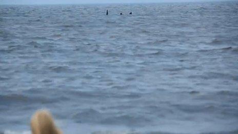 Footage of the Skegness Monster