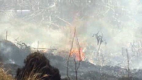 Grass fire in Tonypandy, Rhondda, earlier this week