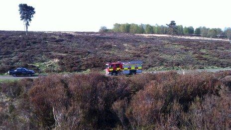 Cannock Chase