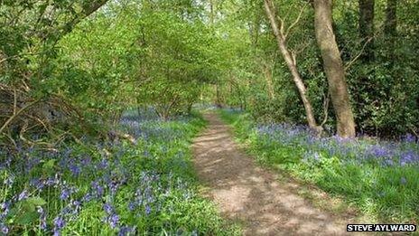 Arger Fen and Spouse's Grove