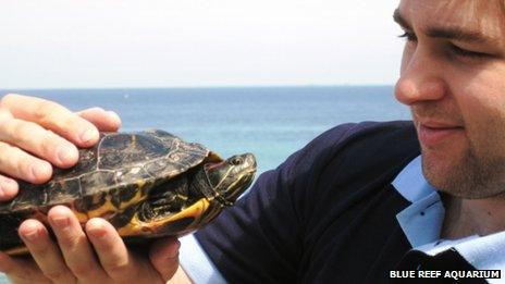 Blue Reef curator Paul Strachan with rescued terrapin. Pic: Blue Reef Aquarium