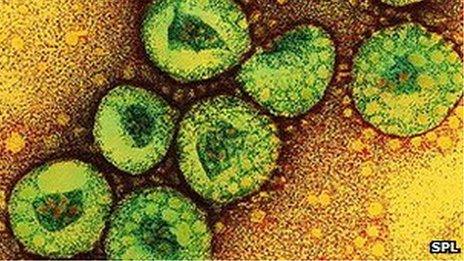 Coronavirus