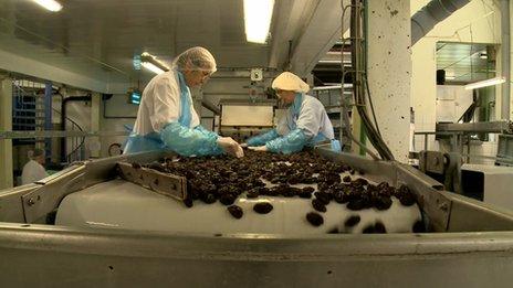 Prune factory in Saint-Livrade-Sur-Lot