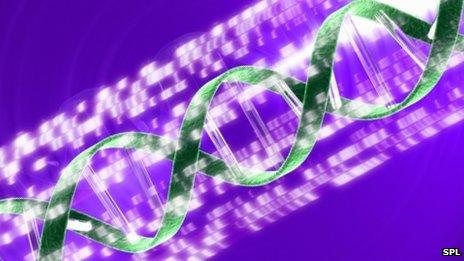Conceptual computer artwork of a DNA (deoxyribonucleic acid) double helix