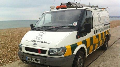 Animal-rescue vehicle at Seaford beach