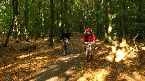 Sherwood Forest