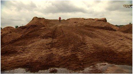 Mountain of wood chips