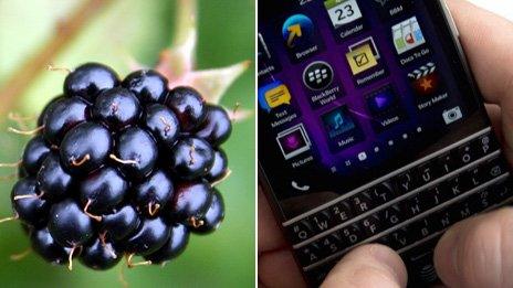 A blackberry fruit and a Blackberry phone