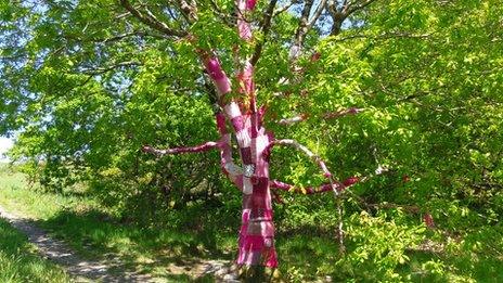 Hugging tree in memory of April Jones