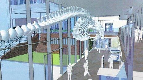 Artist's impression of interior of refurbished Museum of Zoology, Cambridge, with whale skeleton