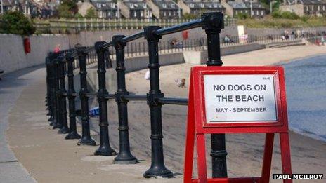 Burntisland beach