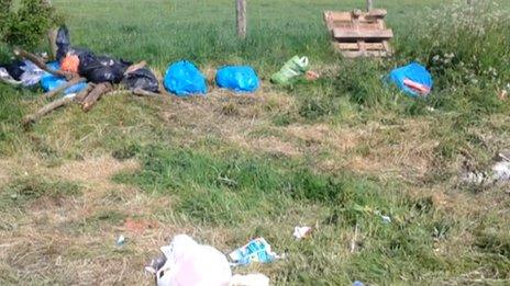 Rubbish at Appleby Horse Fair