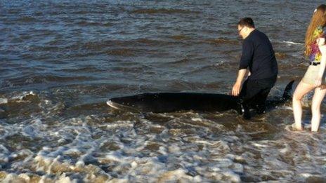 Kevin Trent and daughter Jordan helping to get whale out to sea