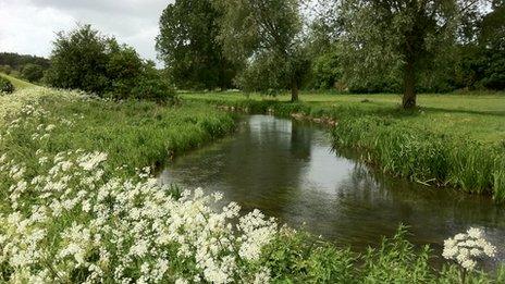 Cotswolds