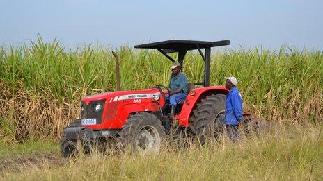 Farm owners at the Ziphophozele farm, outside Durban