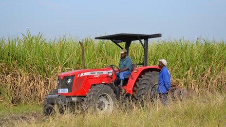 Farm owners at the Ziphophozele farm, outside Durban