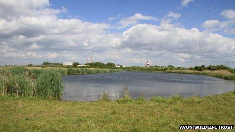 Portbury Wharf Nature Reserve