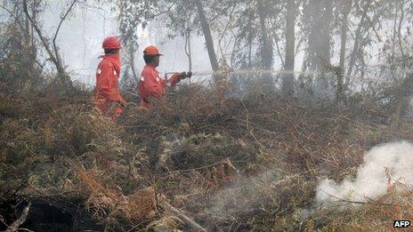 Indonesian firefighters battle forest fires in Pekanbaru, capital of Riau province located on Indonesia's Sumatra island, 20 June 2013