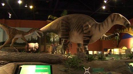 Dinosaur Isle museum