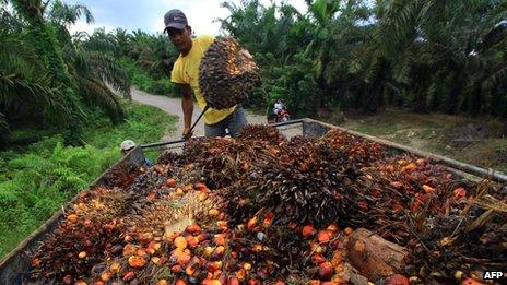 A worker at a palm oil plantation