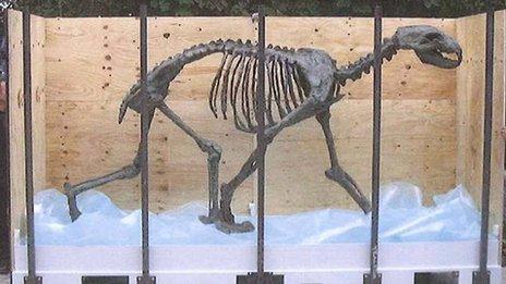 Life-size bronze sculpture of a polar bear skeleton