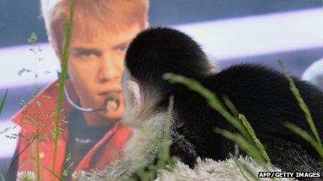 Mally next to a picture of Justin Bieber