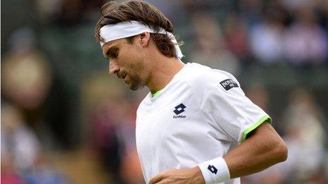 David Ferrer