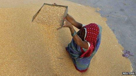 A woman winnows wheat crop at a wholesale grain market near the Indian city of Ahmedabad on 7 May 2013