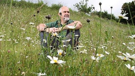 Jim Mathison, Green Spaces manager, in the meadow at Stroud Cemetery.