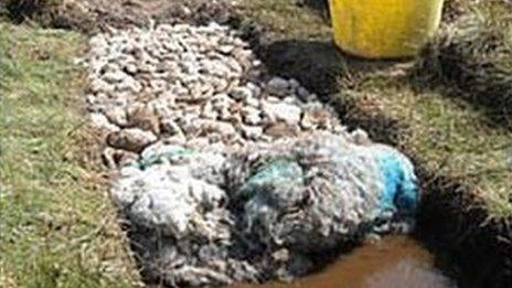 Fleeces used in path repair